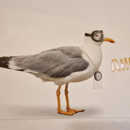 Daire Haus-schwalbennest-whg-03