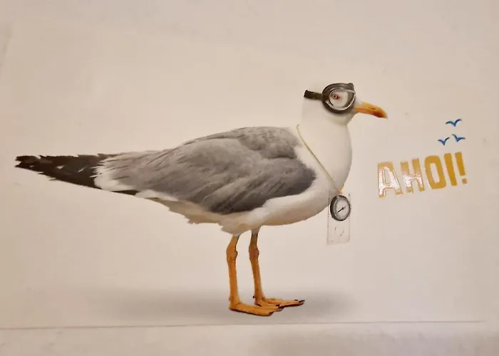 アパート Haus-schwalbennest-whg-03